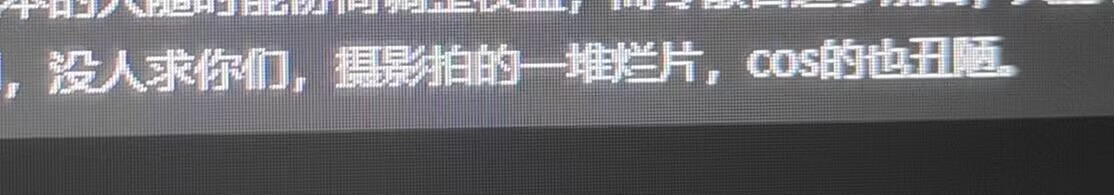 对接人员贬损摄影作品和Coser外貌的言论截图